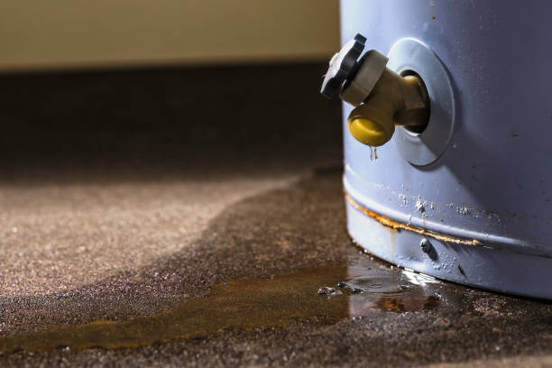 Best Water damage contractors near me  in Castle Pines, CO