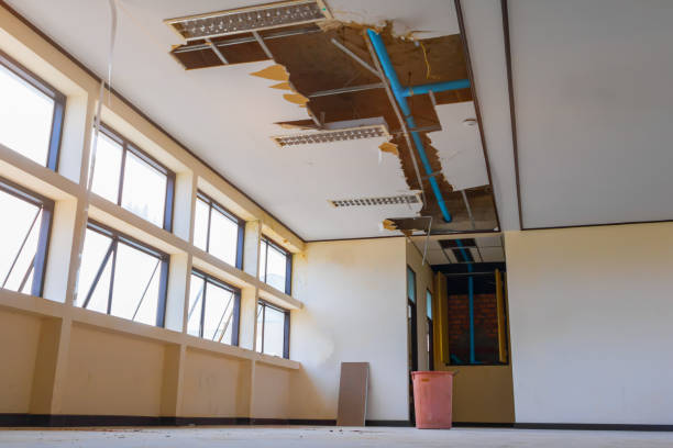 Best Local water damage restoration  in Castle Pines, CO