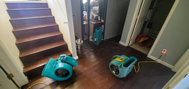 Best Mold removal after water damage  in Castle Pines, CO