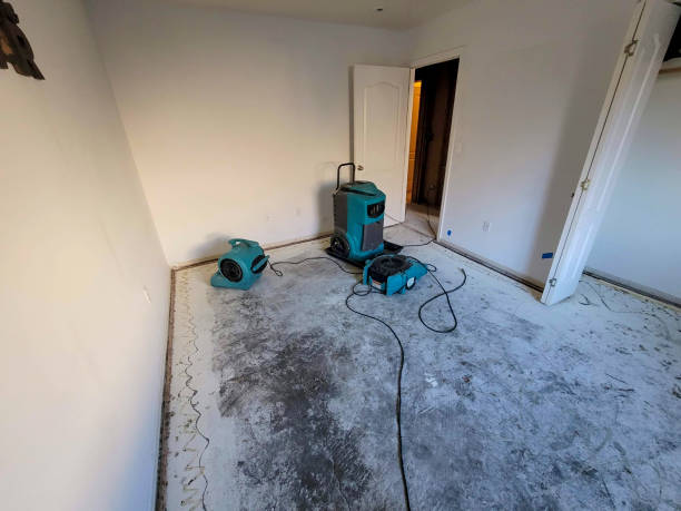 Best Sewage cleanup and water damage restoration  in Castle Pines, CO