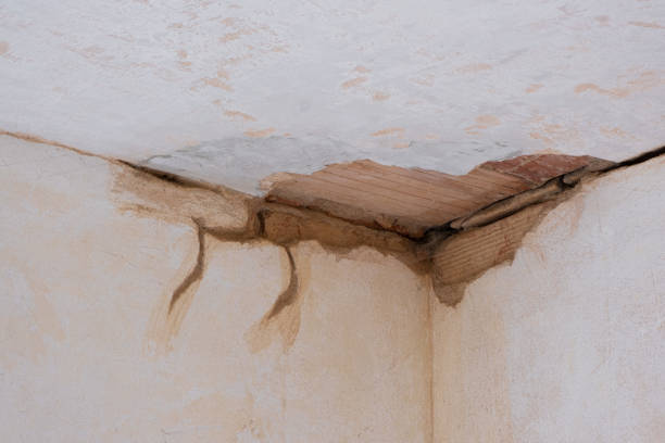 Best Water damage cleanup near me  in Castle Pines, CO