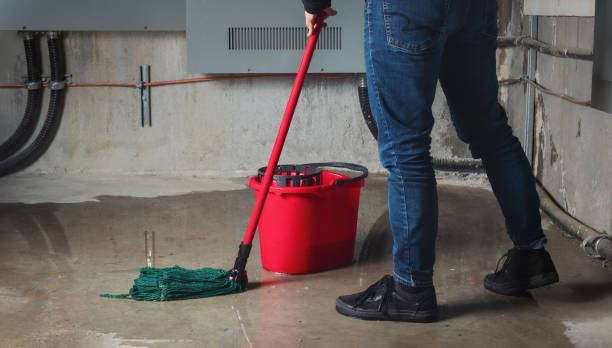 Best 24/7 water damage repair  in Castle Pines, CO