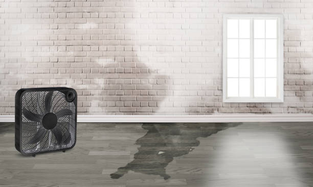  Castle Pines, CO Water damage restoration Pros