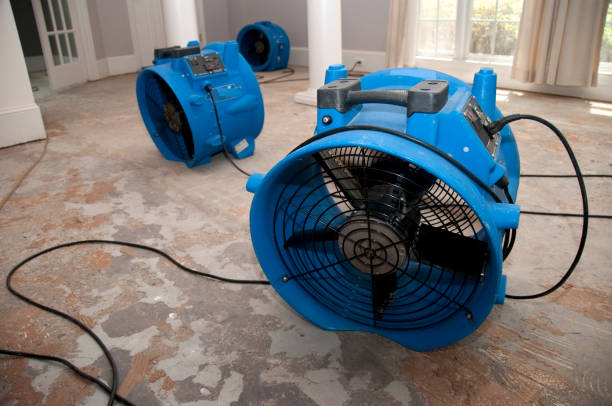 Best Water damage contractors near me  in Castle Pines, CO