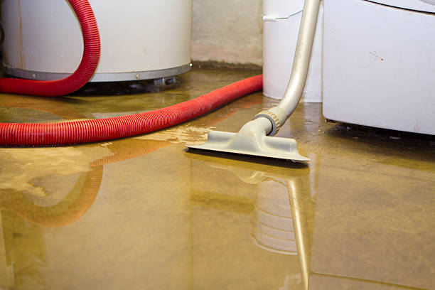 Best 24-hour water damage restoration  in Castle Pines, CO