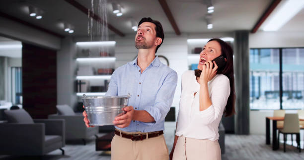 Best Water damage cleanup near me  in Castle Pines, CO
