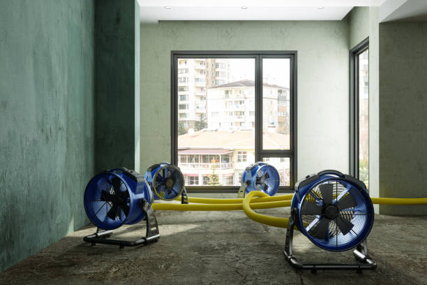 Professional Water damage restoration in Castle Pines, CO